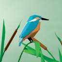 3D paper figure — Alcedo atthis