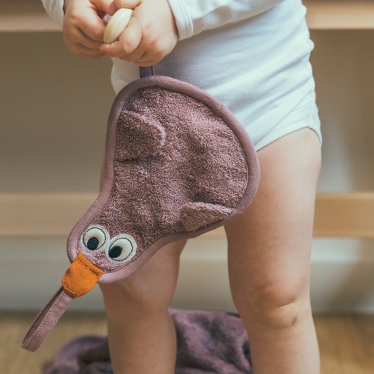 Xumeter Duck
