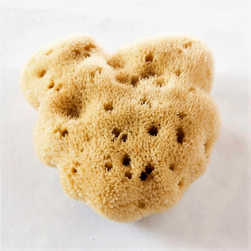 Silk natural sponge