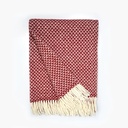 Andorinha blanket