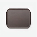 Delica handle tray