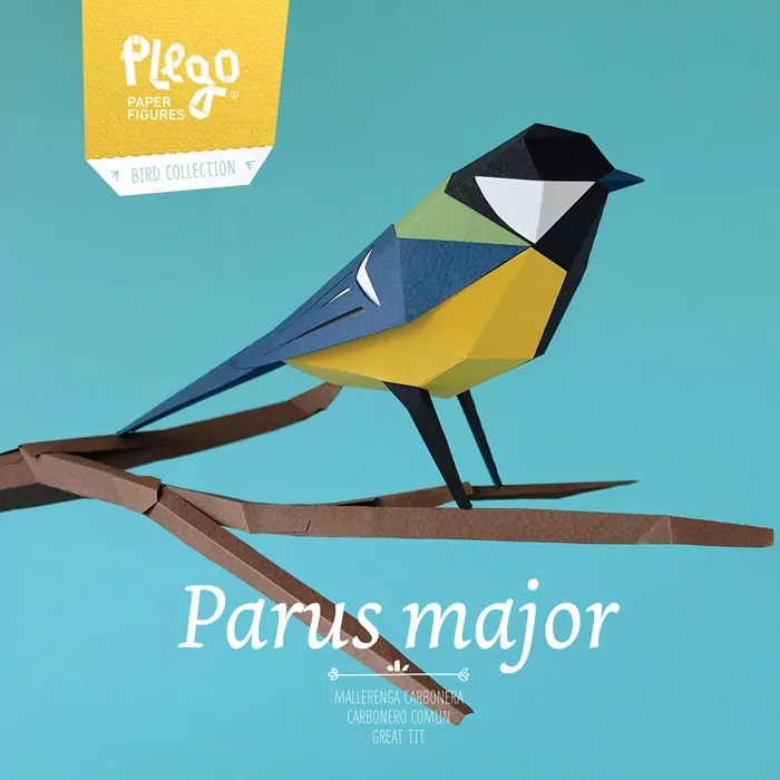 [324416101-6-*] Parus major
