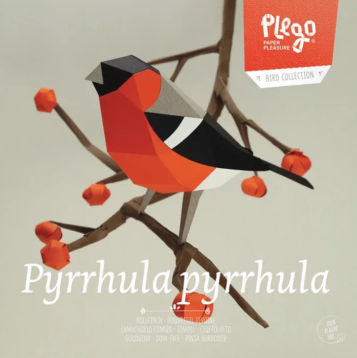 [324416102-4-*] Pyrrhula pyrrhula