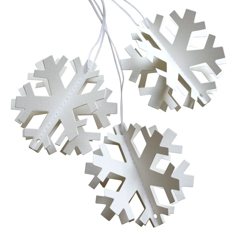 [311013902-0-*] Snowflake